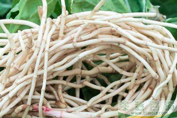 折耳根的功效与禁忌 折耳根什么味道