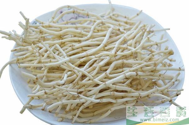 折耳根有几种叫法 折耳根有马兜铃酸吗