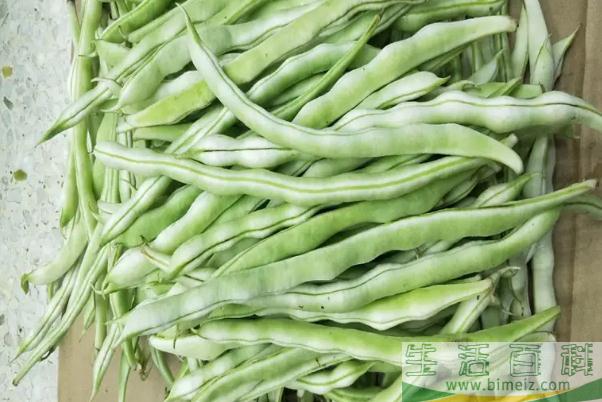 四季豆没炒熟会中毒吗 四季豆的功效与作用