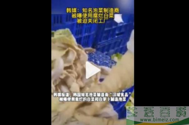 韩知名泡菜制造商被爆使用腐烂白菜 韩国泡菜的功效及营养价值