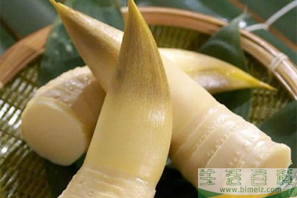 春笋不适合什么人吃 春笋不能和什么同时食用