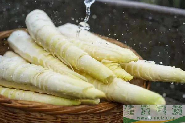 春笋有什么营养价值 春笋适合孕妇吃吗