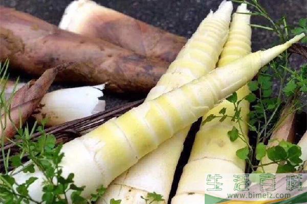 春笋吃起来为什么麻麻的 春笋吃起来酸怎么回事