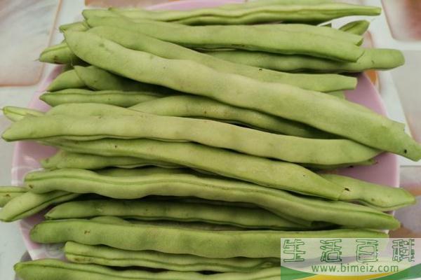 四季豆有毒吗 四季豆会胀气吗