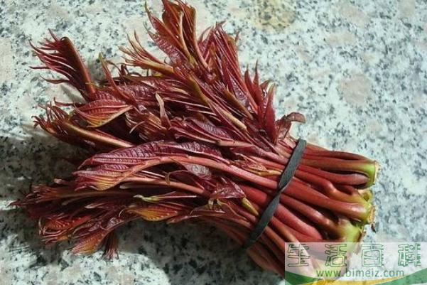 香椿的功效与作用 香椿的营养功效