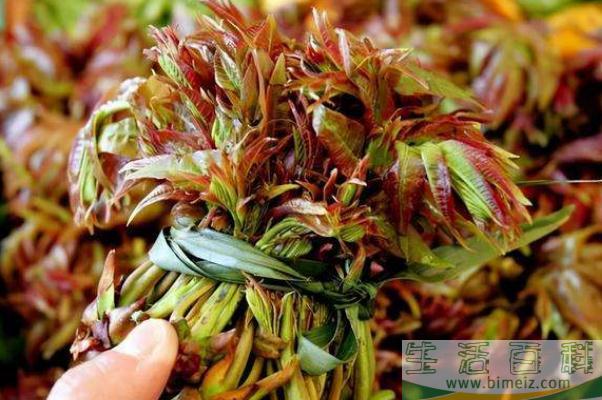 香椿孕妇可以吃吗 香椿是回奶的吗
