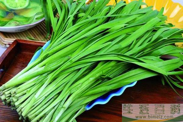 韭菜可以放进冰箱保存吗 韭菜在冰箱里可以放多久