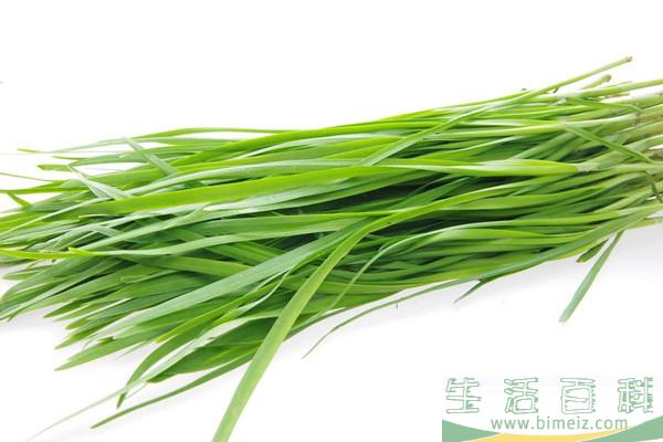 韭菜怎么选购 韭菜如何清洗干净