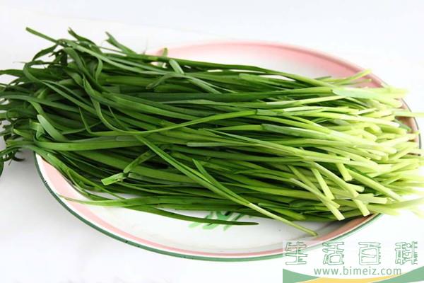 韭菜什么时候成熟 韭菜不适合什么人吃