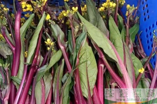菜苔怎么炒好吃 菜苔北方叫什么菜