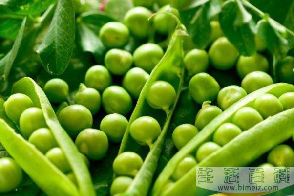 豌豆会上火吗 豌豆会变黄吗