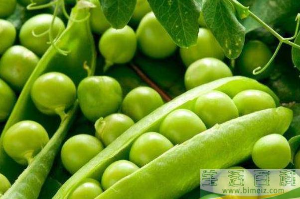 豌豆会上火吗 豌豆会变黄吗