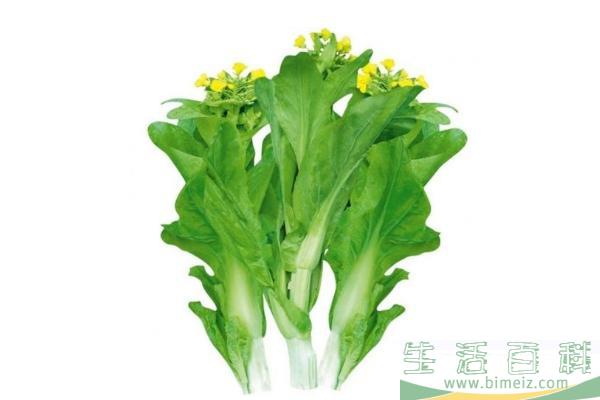 菜苔发苦是什么原因 菜苔发苦能吃吗