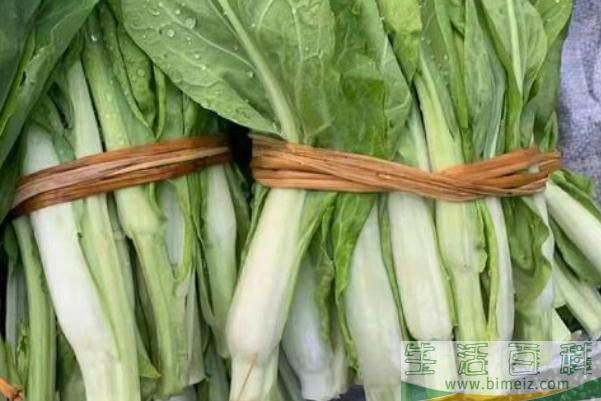菜苔发苦是什么原因 菜苔发苦能吃吗