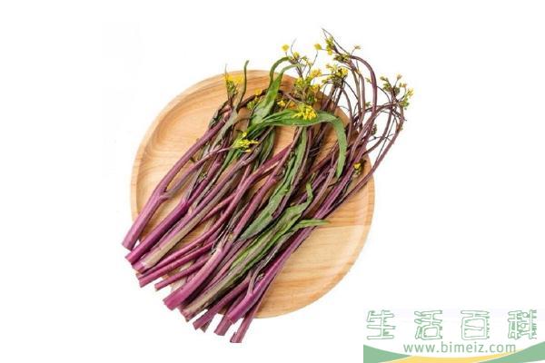 菜苔是热性还是凉性 菜苔要放冰箱吗
