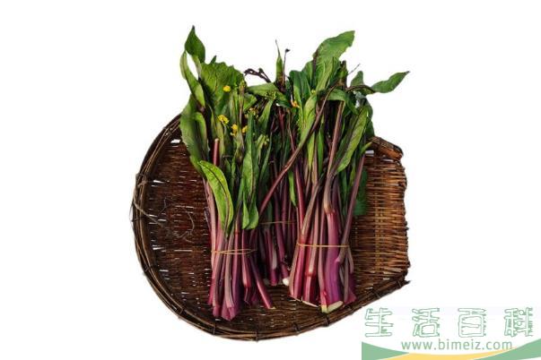 菜苔是热性还是凉性 菜苔要放冰箱吗