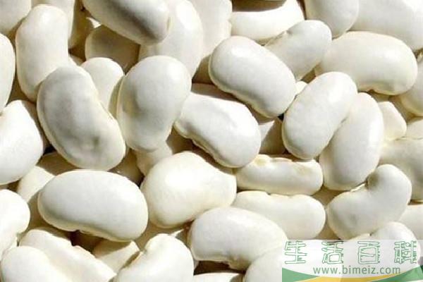 白芸豆可以减肥吗 白芸豆减肥效果怎么样