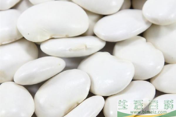 白芸豆可以减肥吗 白芸豆减肥效果怎么样