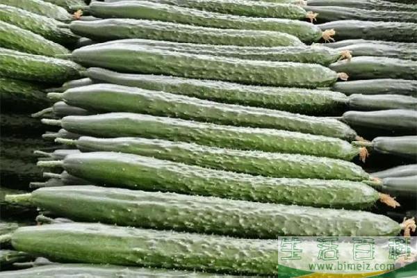 黄瓜和花生能一起吃吗 黄瓜为什么是绿色的叫黄瓜