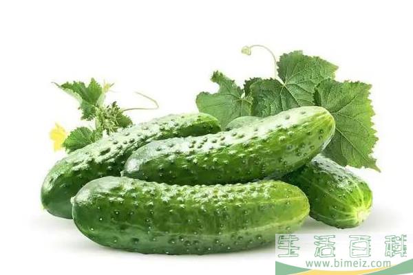 黄瓜是膳食纤维还是维生素 黄瓜属于绿色蔬菜吗