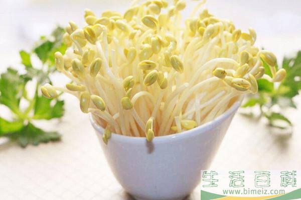 黄豆芽的嘌呤含量高吗 黄豆芽对身体有什么好处