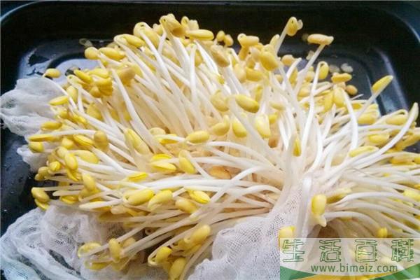 黄豆芽的嘌呤含量高吗 黄豆芽对身体有什么好处