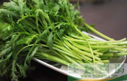 茼蒿长花苞了能吃吗1