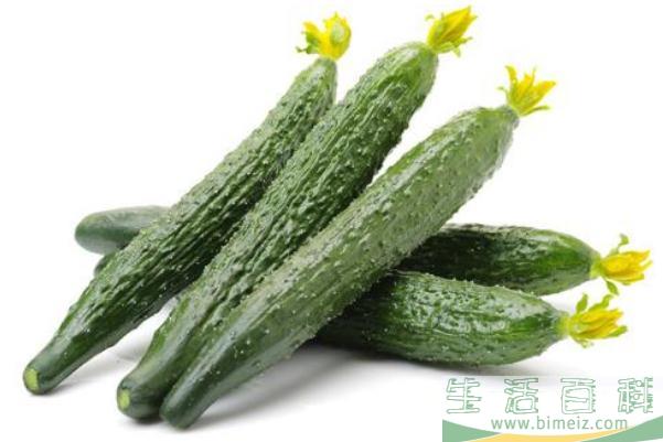 黄瓜的功效与作用 黄瓜的营养价值