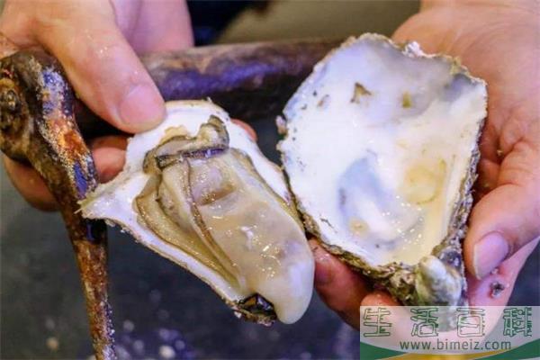 生蚝蛋白质含量高吗 生蚝为什么不能多吃