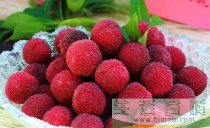 几月份是吃杨梅的季节2