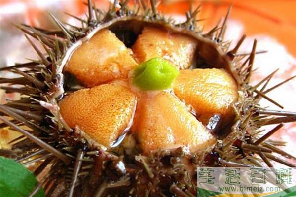 海胆刺身的热量 海胆刺身好吃吗