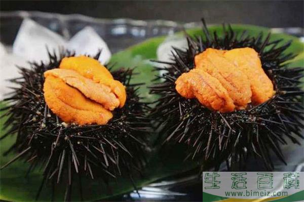 海胆刺身怎么吃 海胆可以直接吃吗