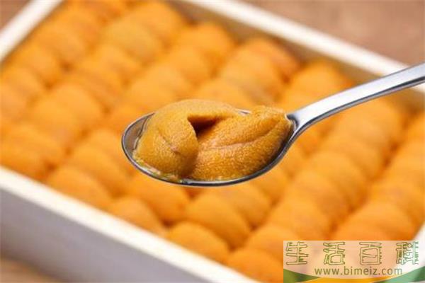 海胆没有黄是为什么 海胆没有黄能吃吗