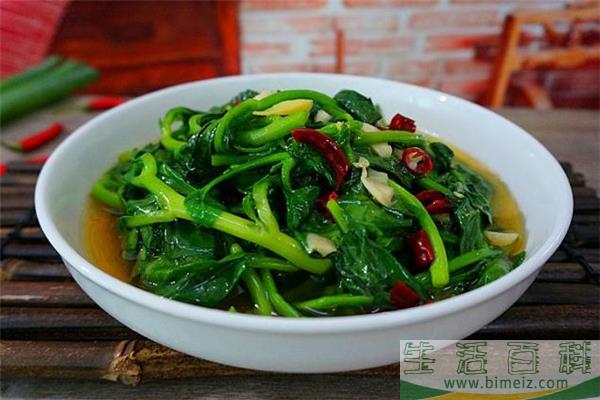 菊花菜是什么 菊花菜的功效与作用
