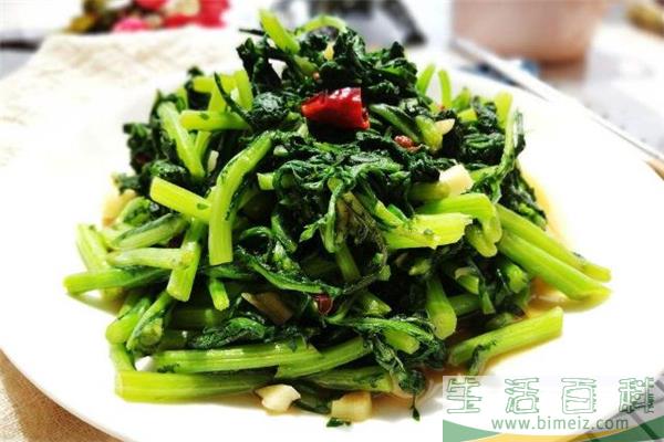 菊花菜是什么 菊花菜的功效与作用