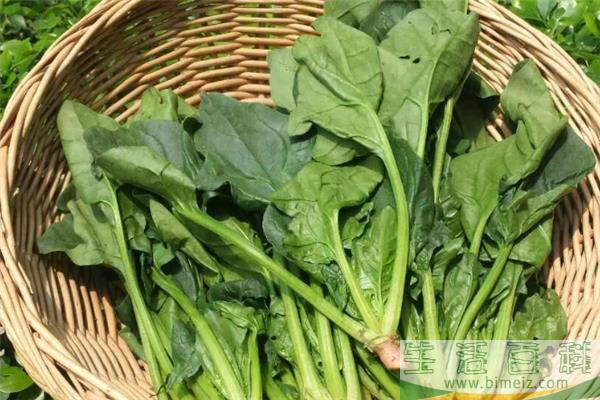 十大可以清肠排便食物排行榜