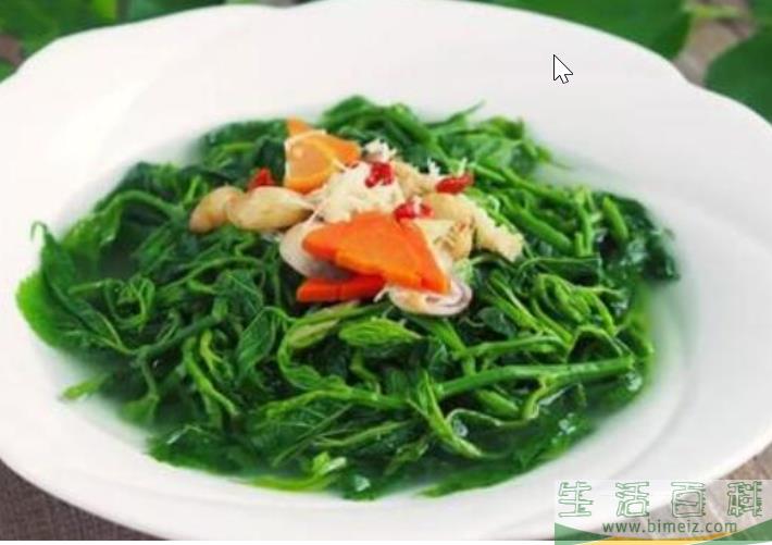 桑芽菜怎么做好吃 桑芽菜的功效和作用