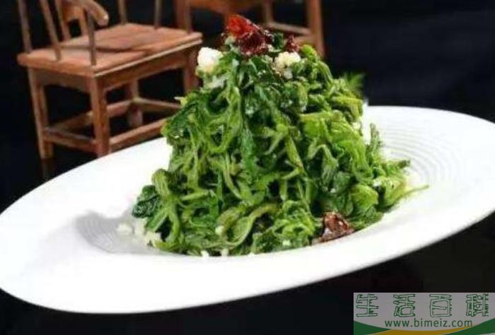桑芽菜怎么做好吃 桑芽菜的功效和作用