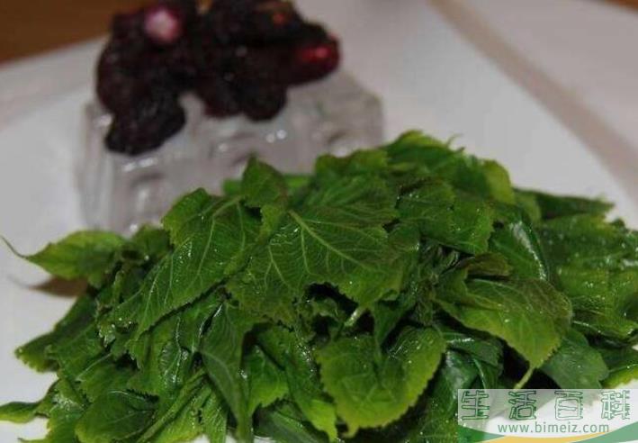 桑芽菜怎么做好吃 桑芽菜的功效和作用