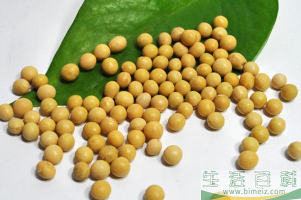 黄豆是豌豆吗 黄豆有啥营养