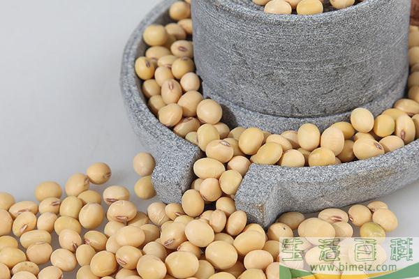黄豆的蛋白质含量是多少 黄豆的含糖量多少