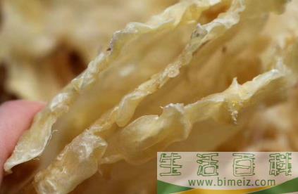 鳕鱼胶怎么泡发才不腥1