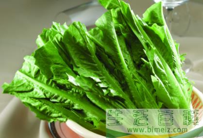 油麦菜怎么看新不新鲜1