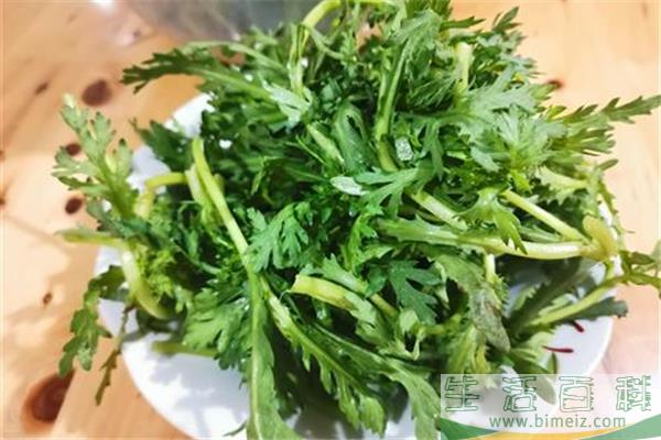 茼蒿是皇帝菜吗 茼蒿是什么季节的