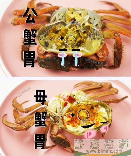 螃蟹的腿有几条5