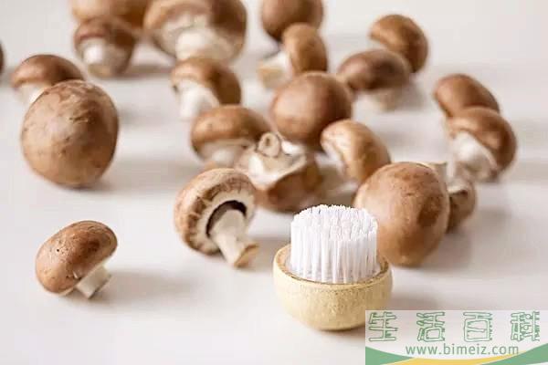 草菇能放冰箱吗 草菇的保存方法