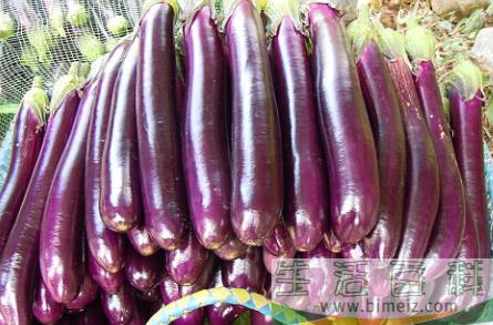 茄子吸油吃了会胖吗1
