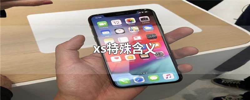 xs特殊含义