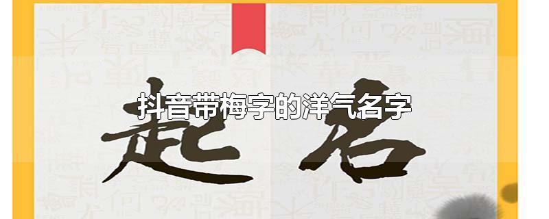 抖音带梅字的洋气名字