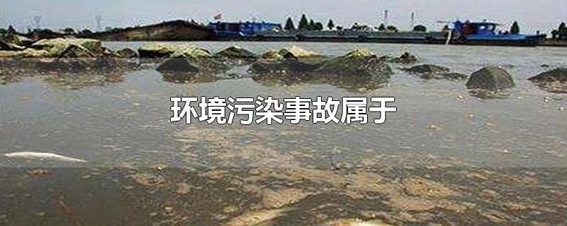 环境污染事故属于